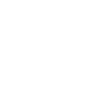 METALLURGICAL INDUSTRY