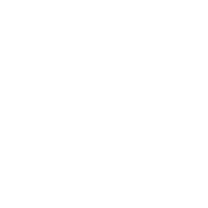 PHARMACEUTICAL INDUSTRY